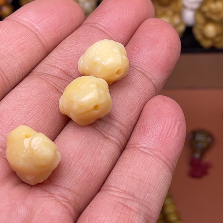 驼骨摆件人工养殖