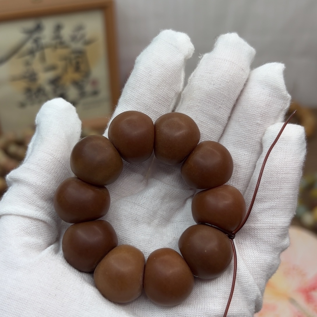 吊坠菩提根/象牙果17+干磨小瑕疵落地果山竹下播福利708