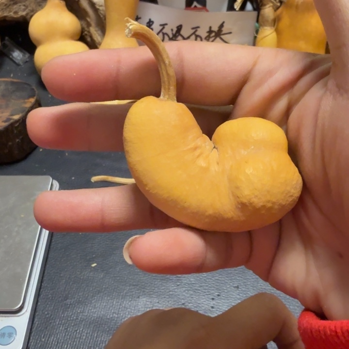 林***子888……………………………………