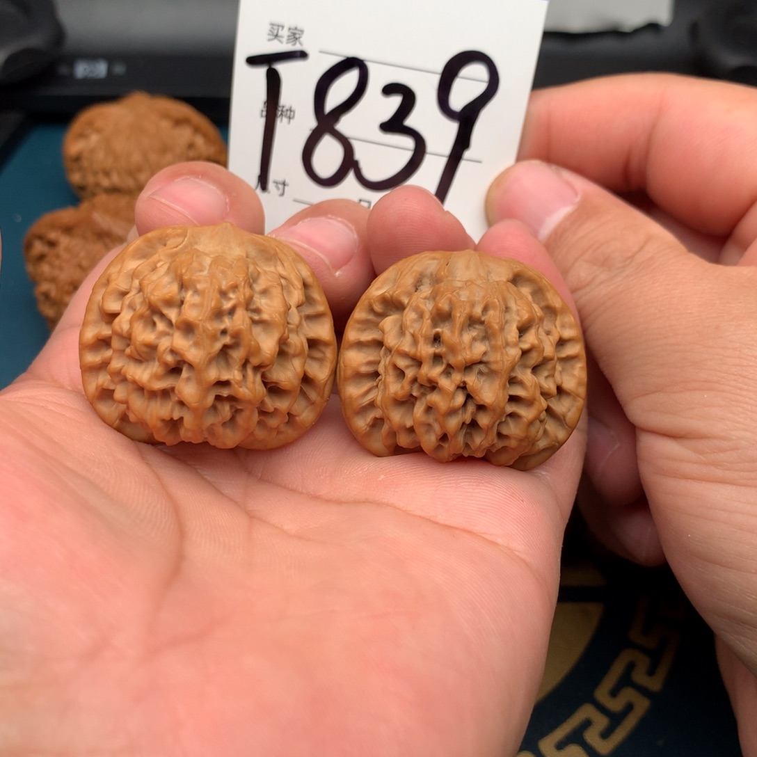 文玩核桃把件37.5全品秦闷839