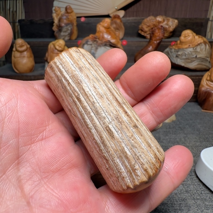 柏木（崖柏）我的小可爱小可爱们