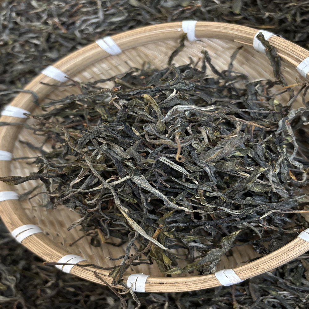 云南易武铜箐河头春森林大树普洱生茶花香蜜香2024年散茶