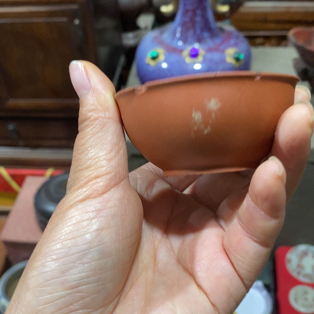 所见皆所得的东西