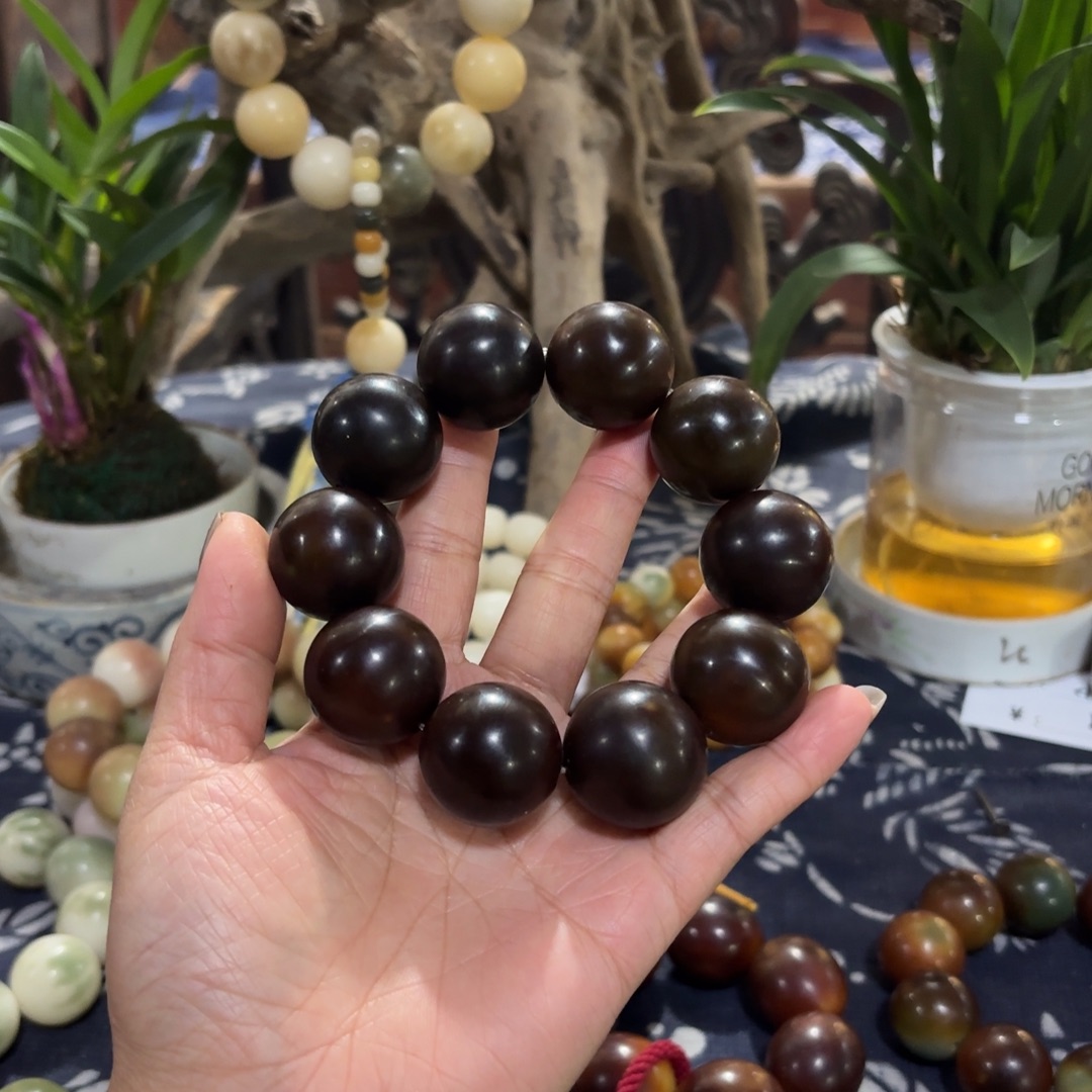 吊坠菩提根/象牙果卡25栗子