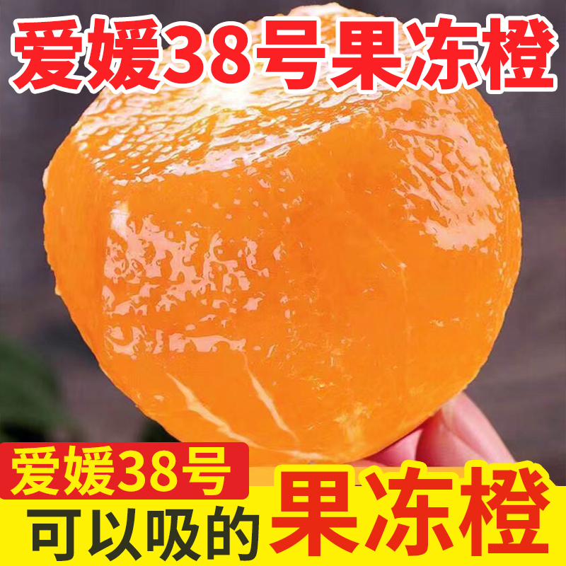 【精品】爱媛果冻橙新鲜采摘橙子爱媛38号四川核心产区