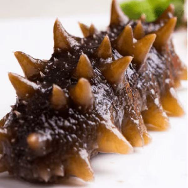 精选鲜食海参 一斤10-12只 劲道好吃500g/包*1包