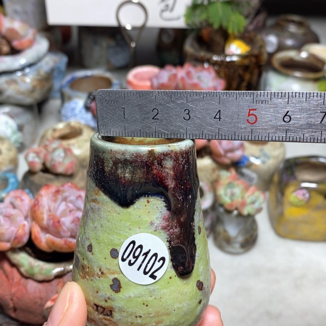 花盆拍5送一个小礼物