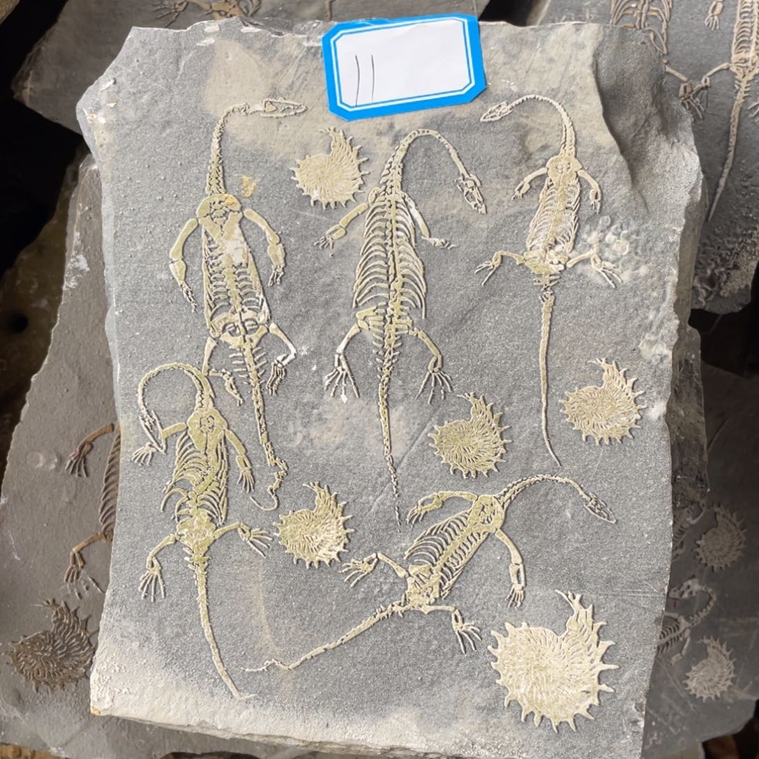 石材111111111111111111111