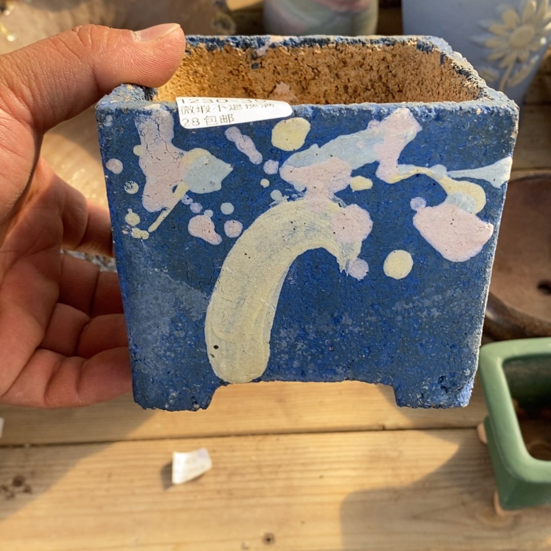 35号花盆内10高10