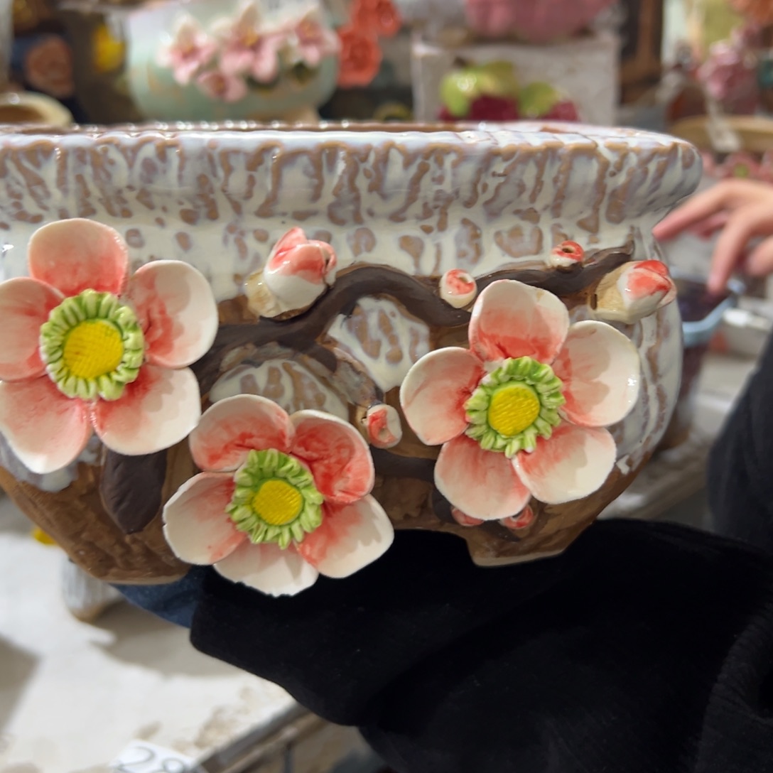 花盆，拍满20发货，退款拉黑