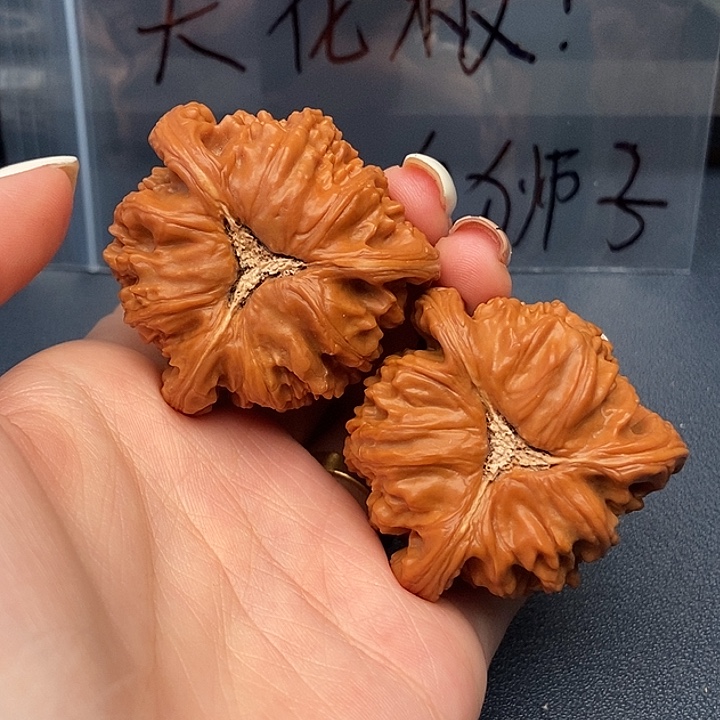 用***8大叶紫檀（黑酸枝木类）白狮子