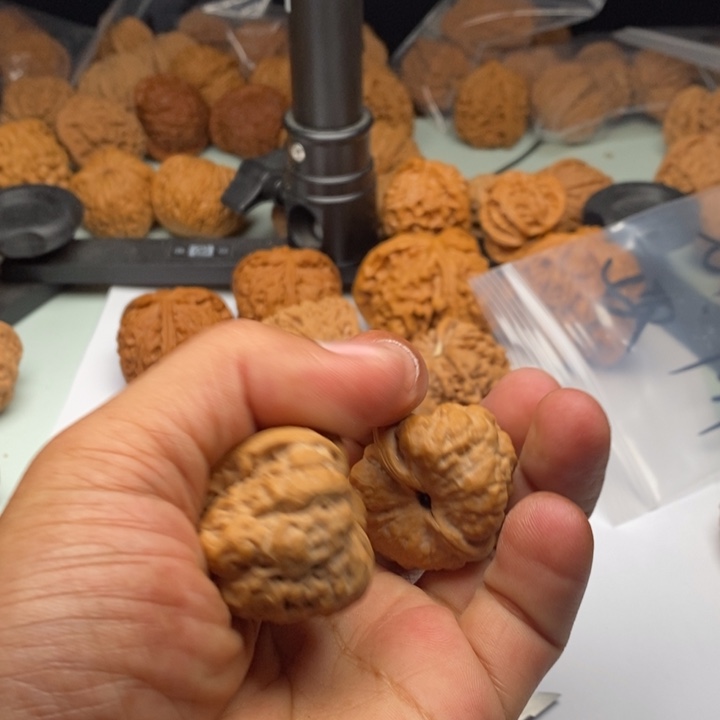 小***玩吊坠文玩核桃11111111111