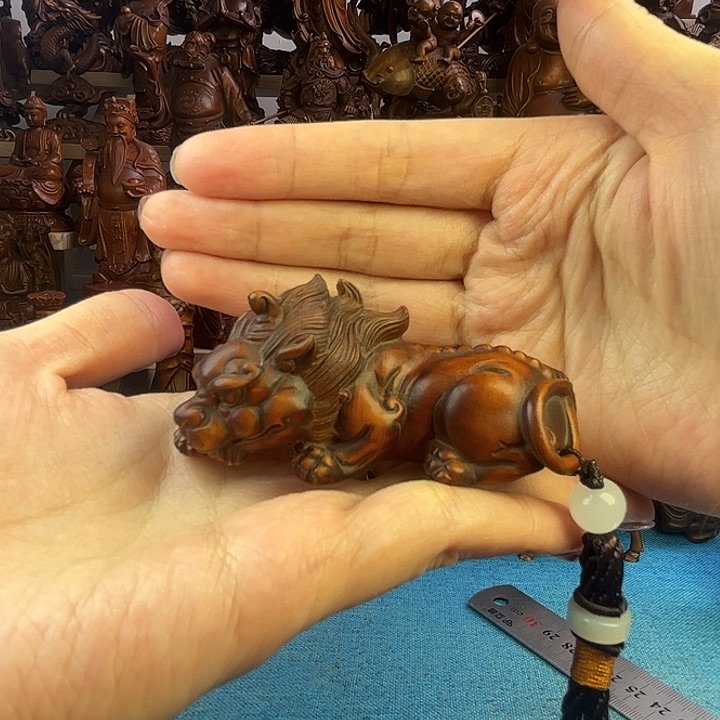 黄杨木小叶黄杨木