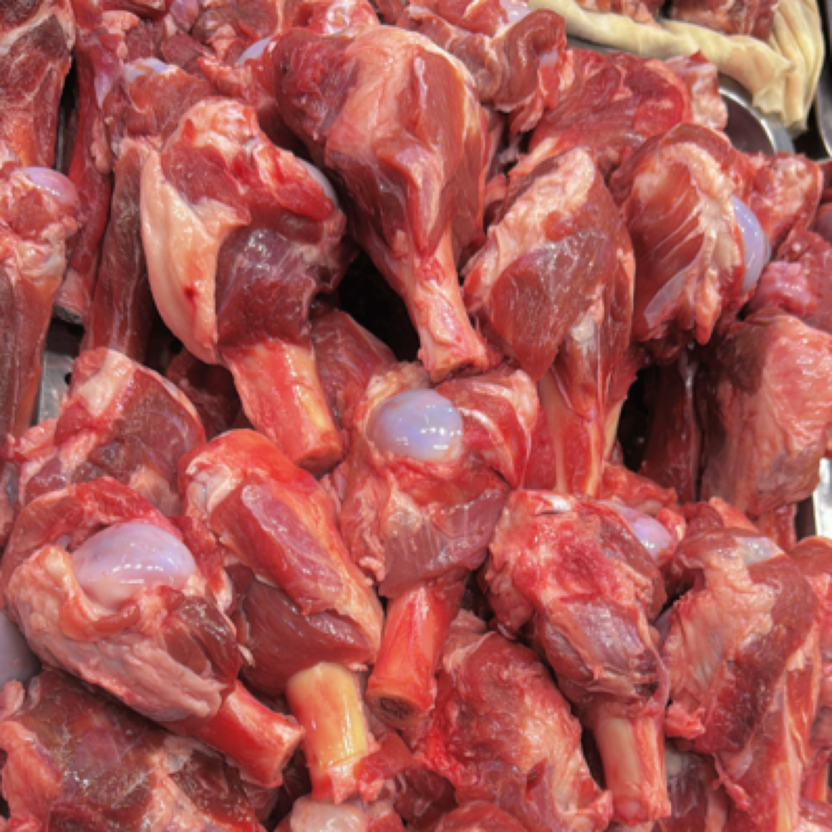 羔羊前腿肉棒骨（多肉）