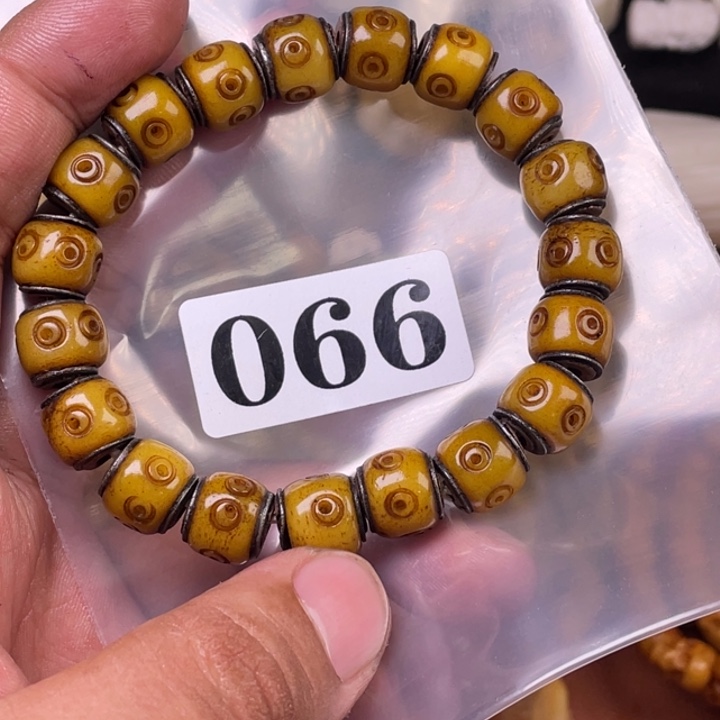 驼骨摆件人工养殖