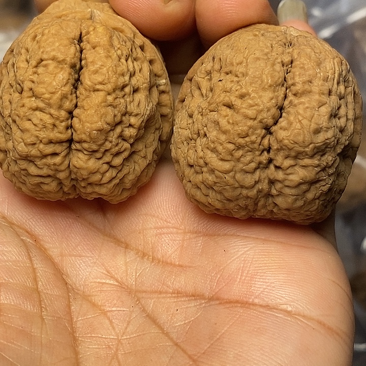 文玩核桃把件云南铁核桃3