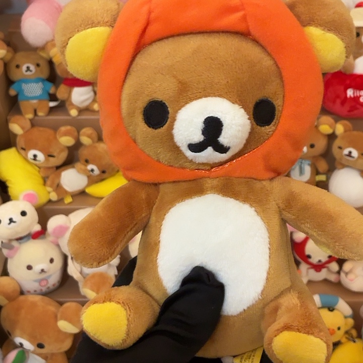 毛绒轻松熊南瓜熊哥