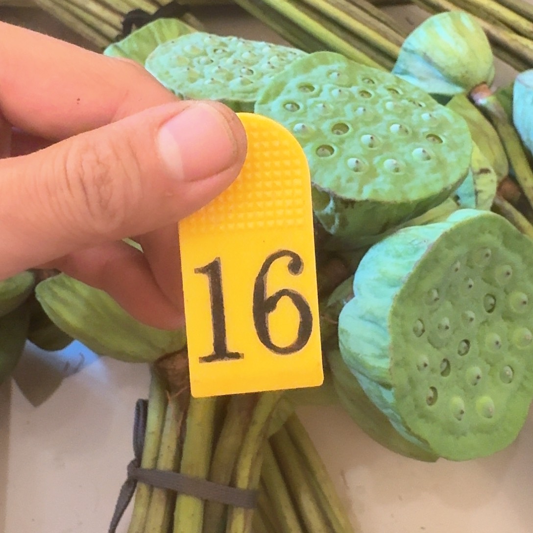 丑***鲜莲蓬一箱15枝长度50公分