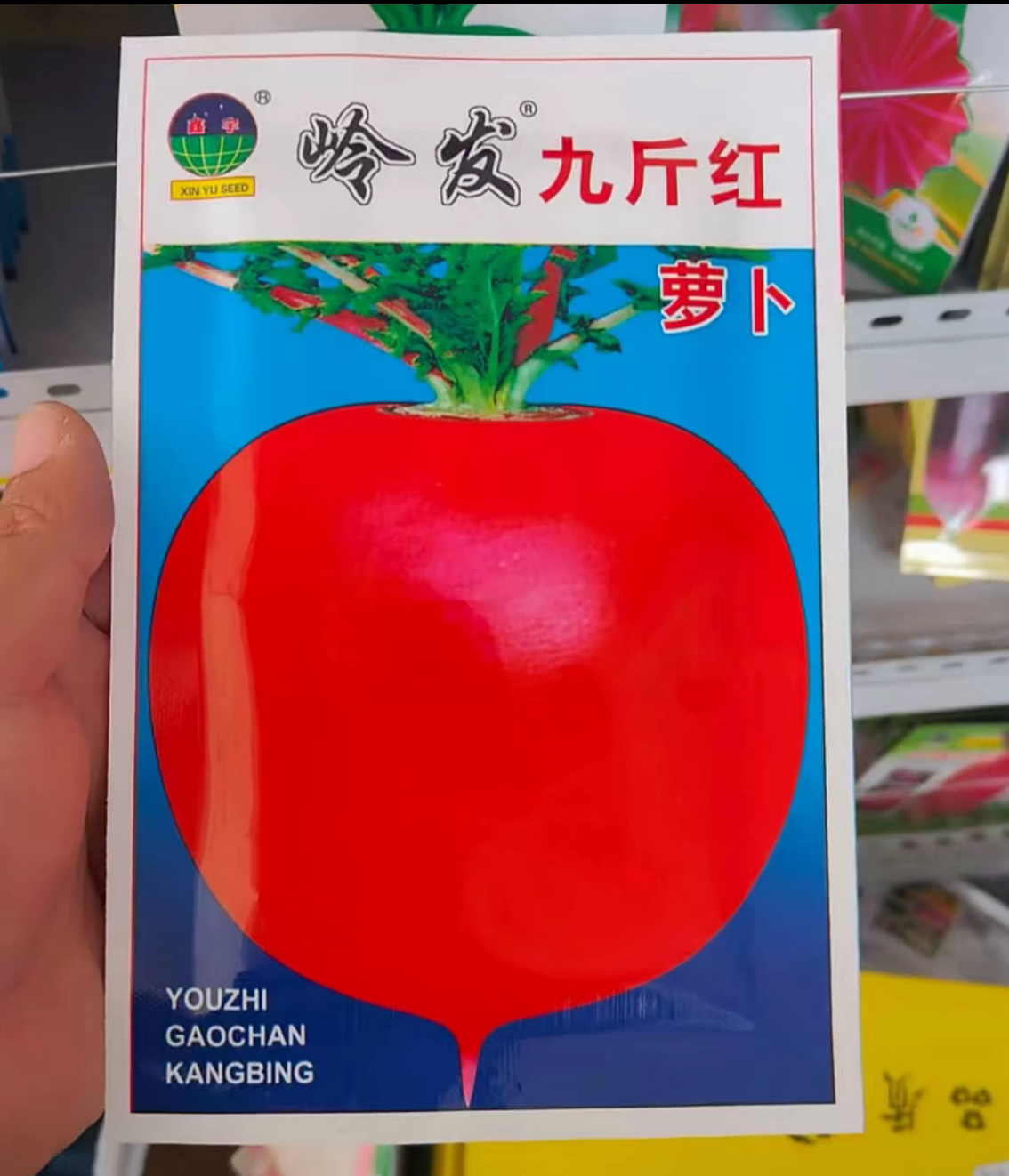 九斤红 红皮白肉大红萝卜种子