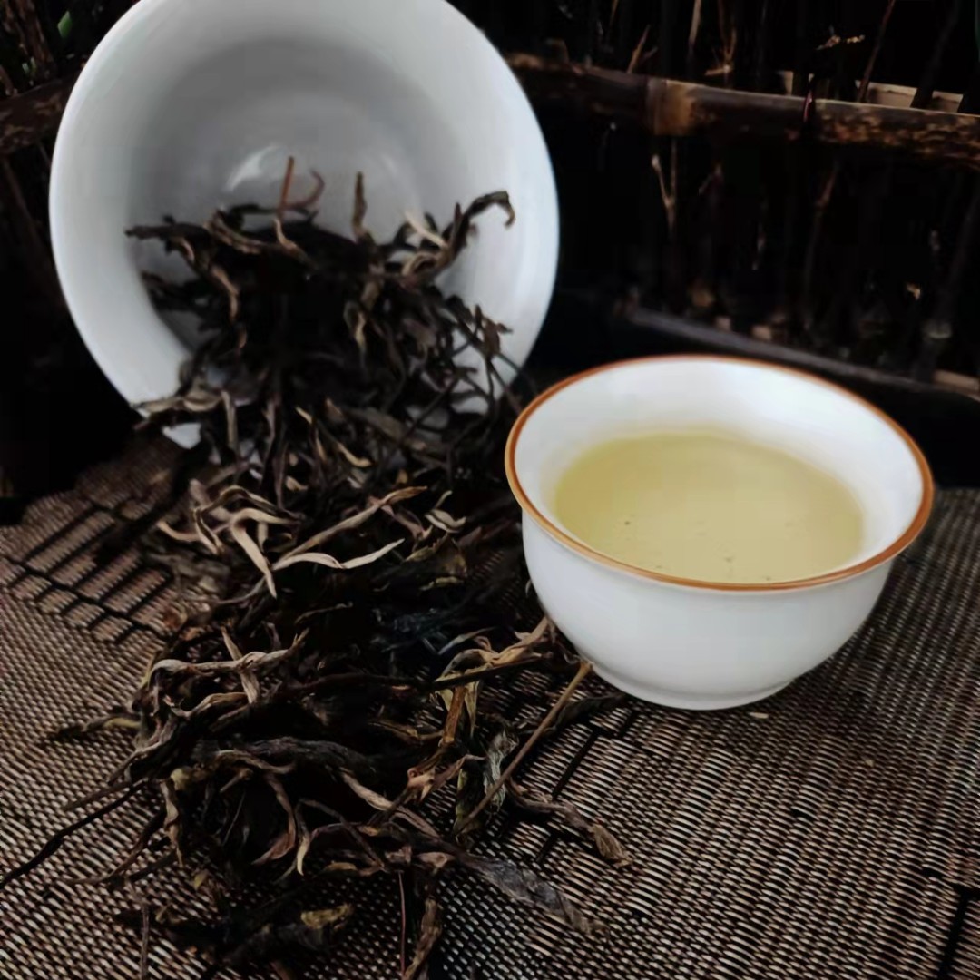 2024年混采古树生普散茶 