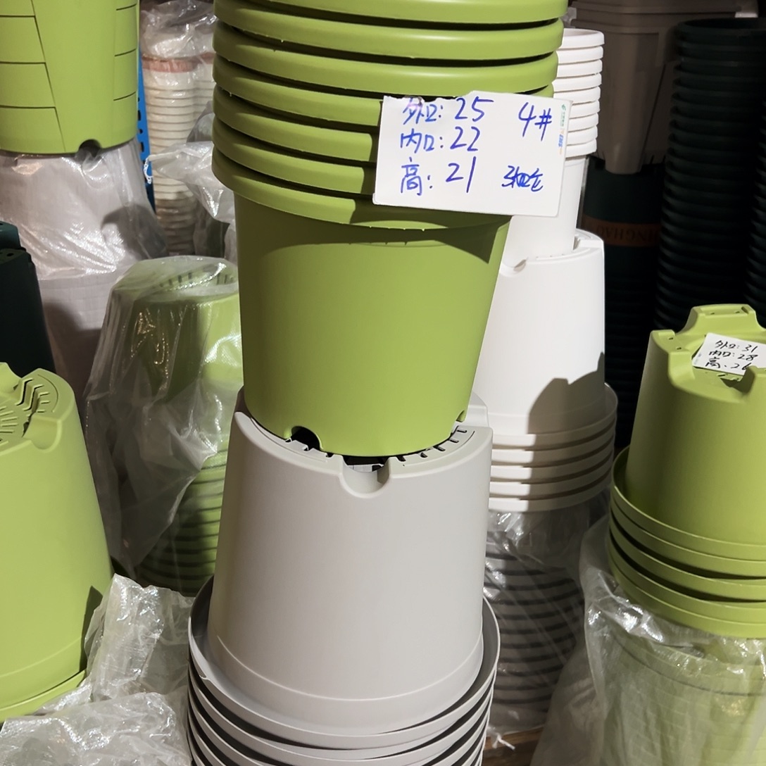 四季盆4#白色8个无托