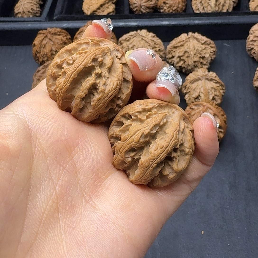 桃木突突突突突突突突