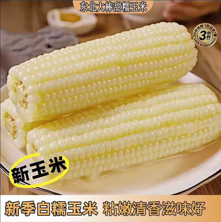 【试吃4支】东北白糯玉米 软糯粘香 真空包装  整箱12支F