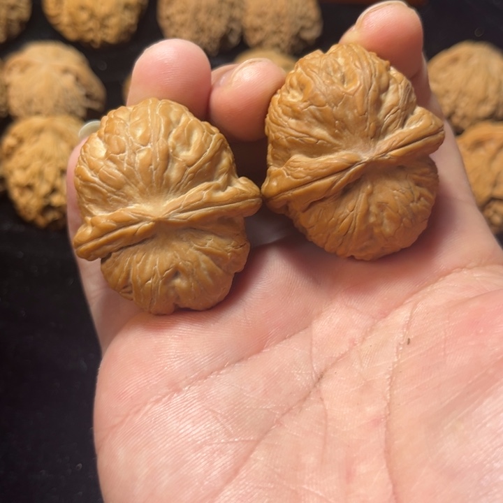 文玩核桃元宝43尺