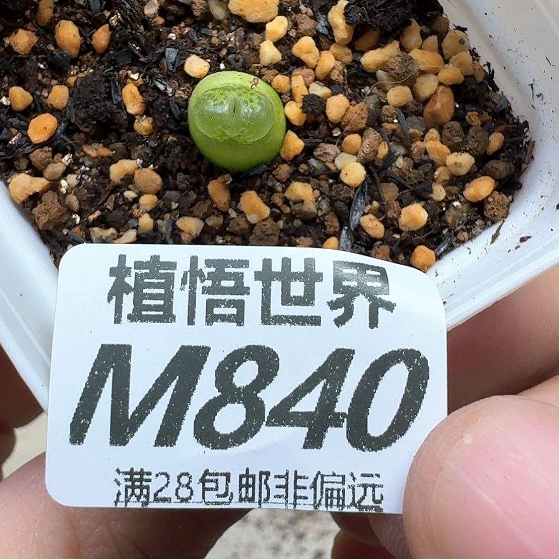 的润泽的的润泽的fg