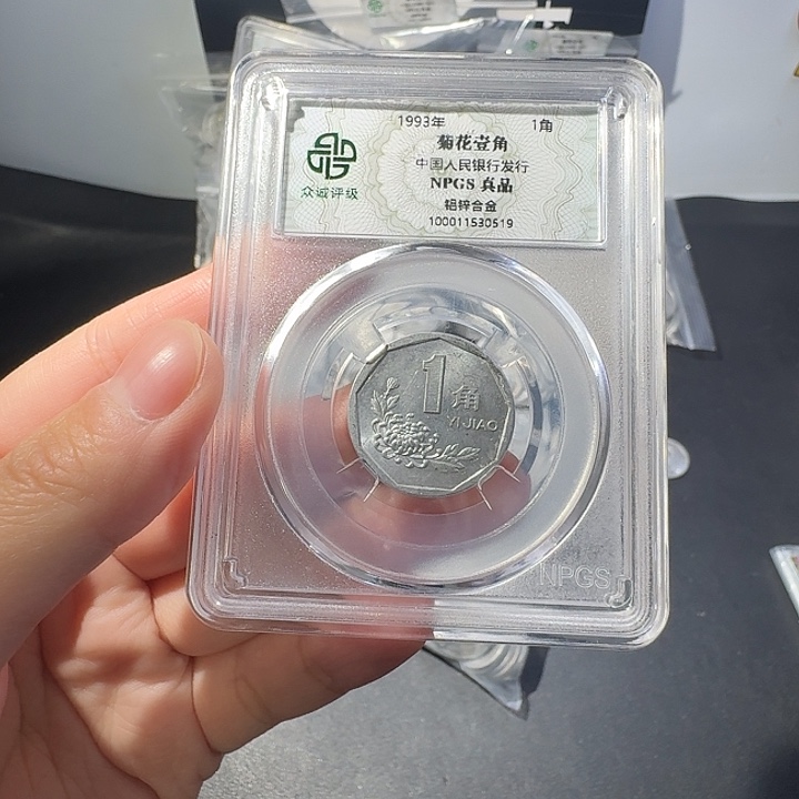 一斤菊花啊啊啊啊啊