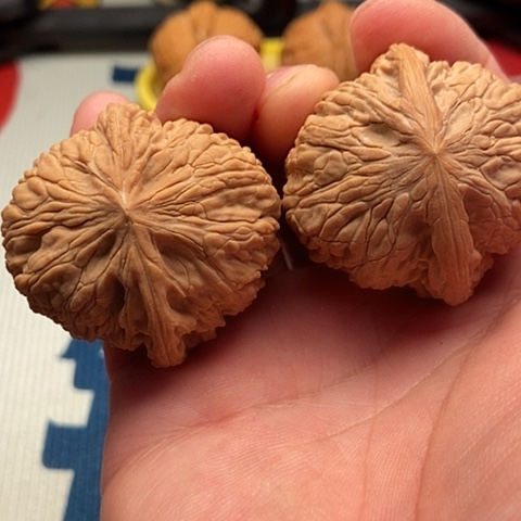 稳***.文玩核桃把件泥鳅背