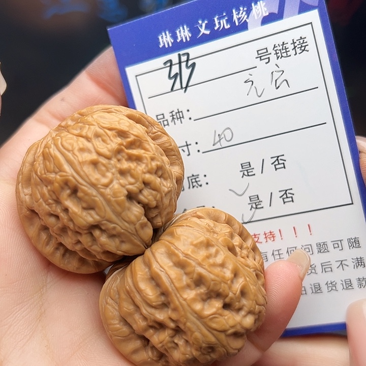 文玩核桃吊坠核桃树313