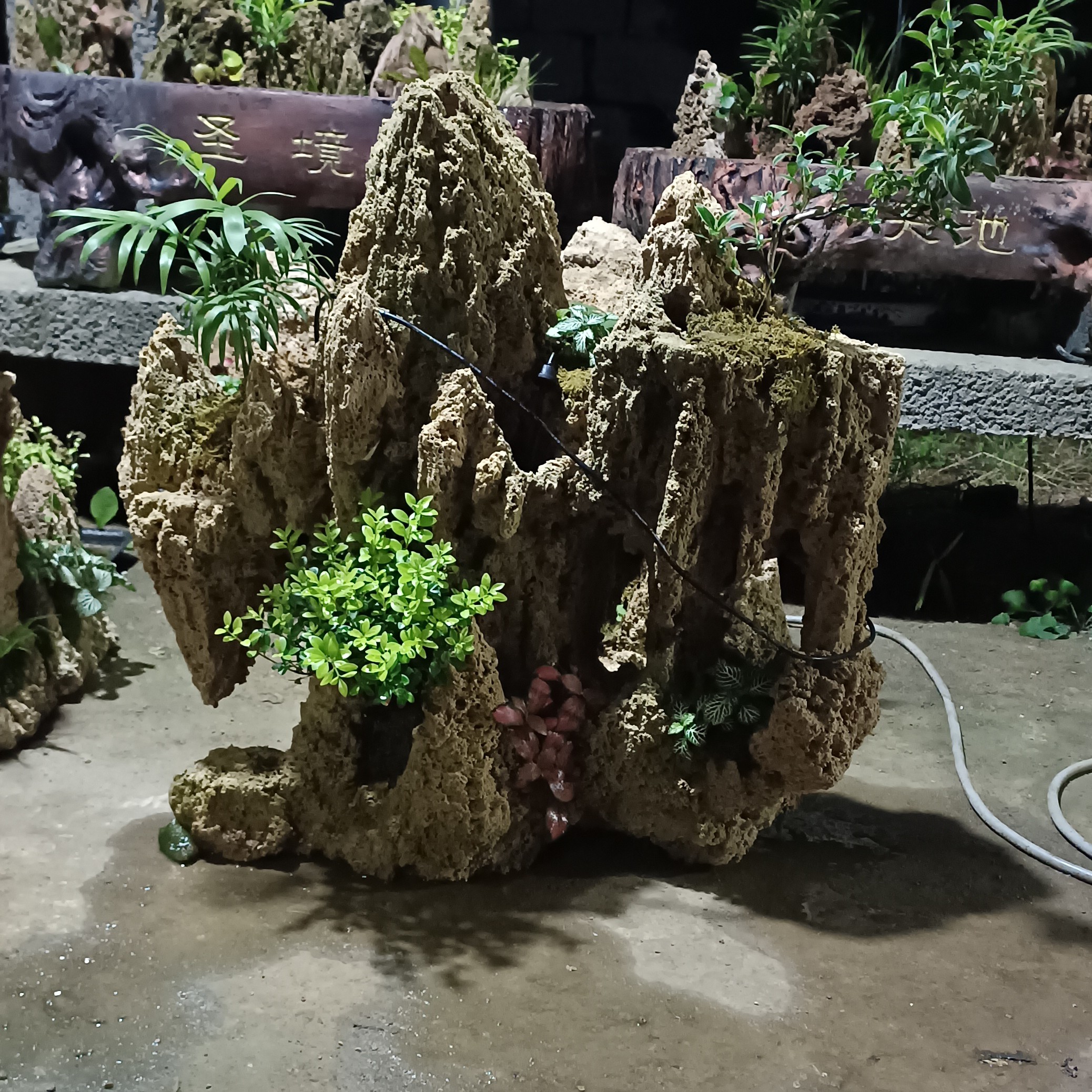 吸水石盆景假山盆景天然