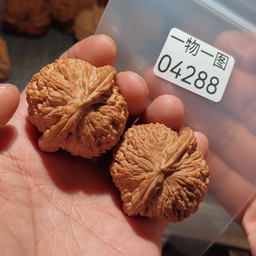 文玩核桃把件白狮子