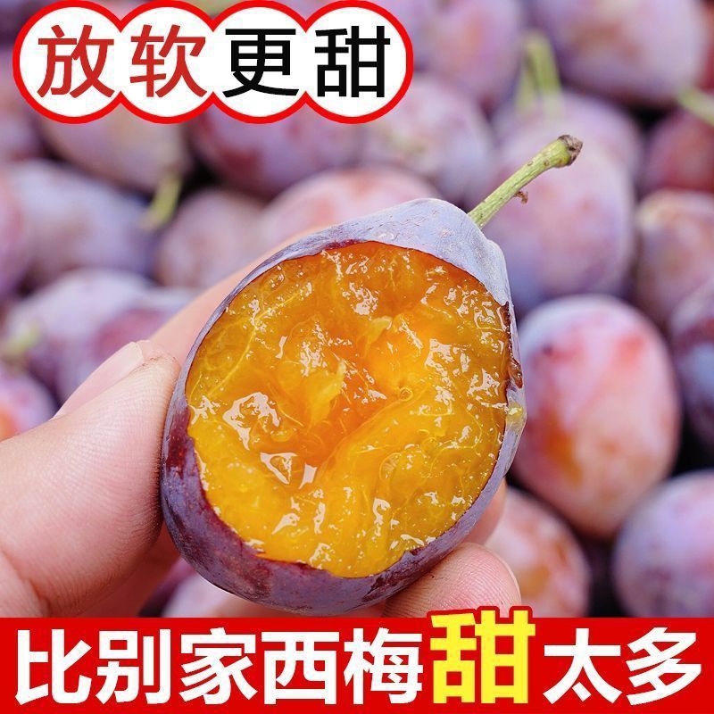 2025新鲜现摘西梅鲜果饱满多汁当季应季孕妇水果酸甜西梅放软吃