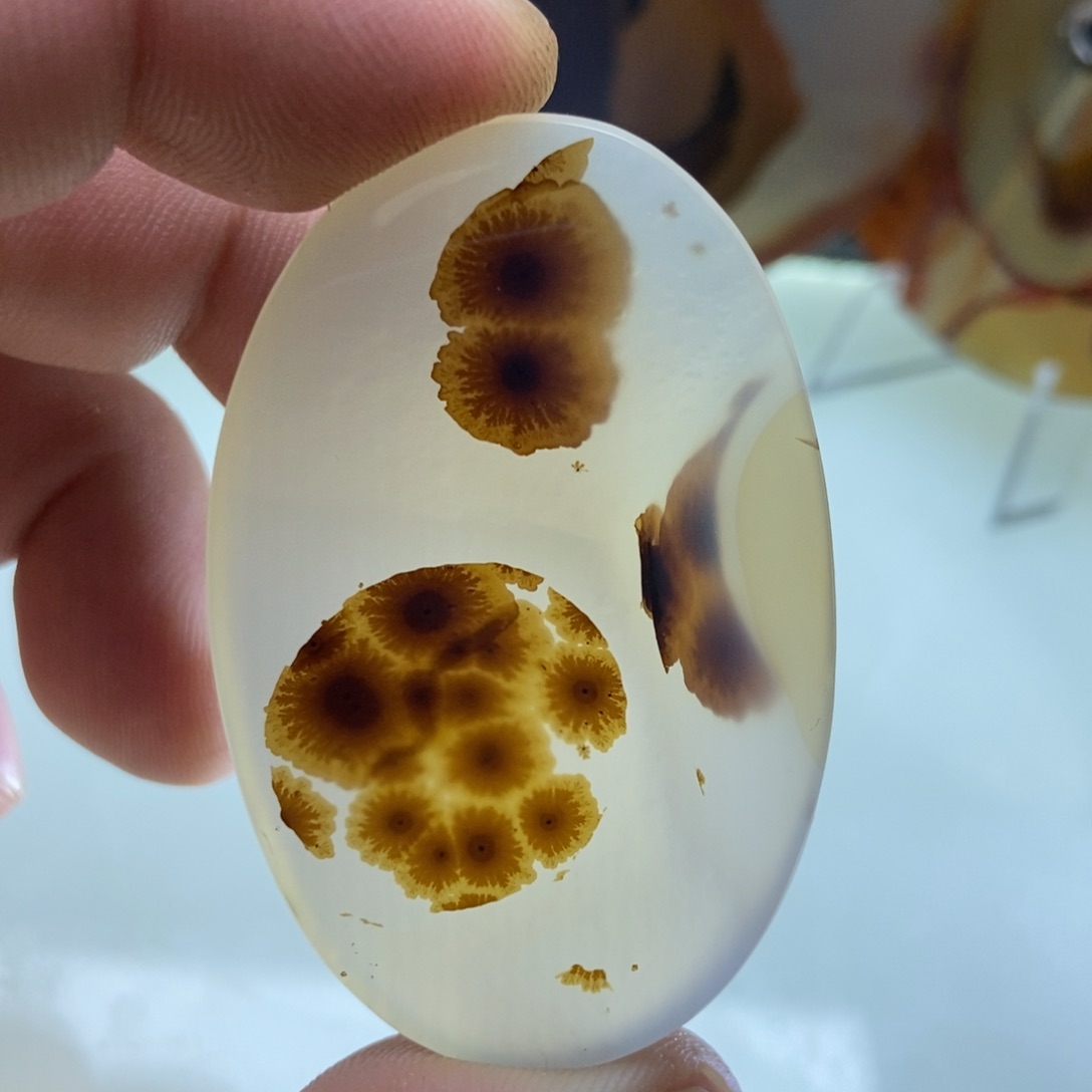 【闪购商品】玛瑙/玉髓颈饰未镶嵌
