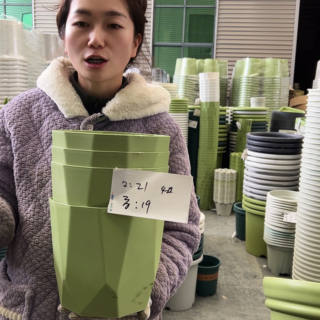 瑕疵雅典盆4#果绿6个无托