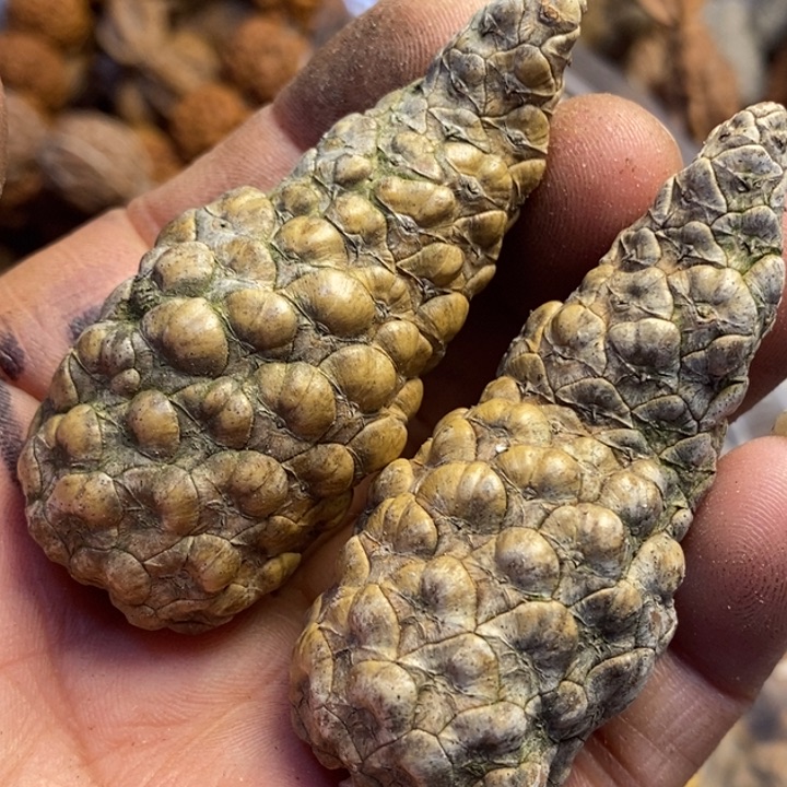 桃核吊坠东北特产195