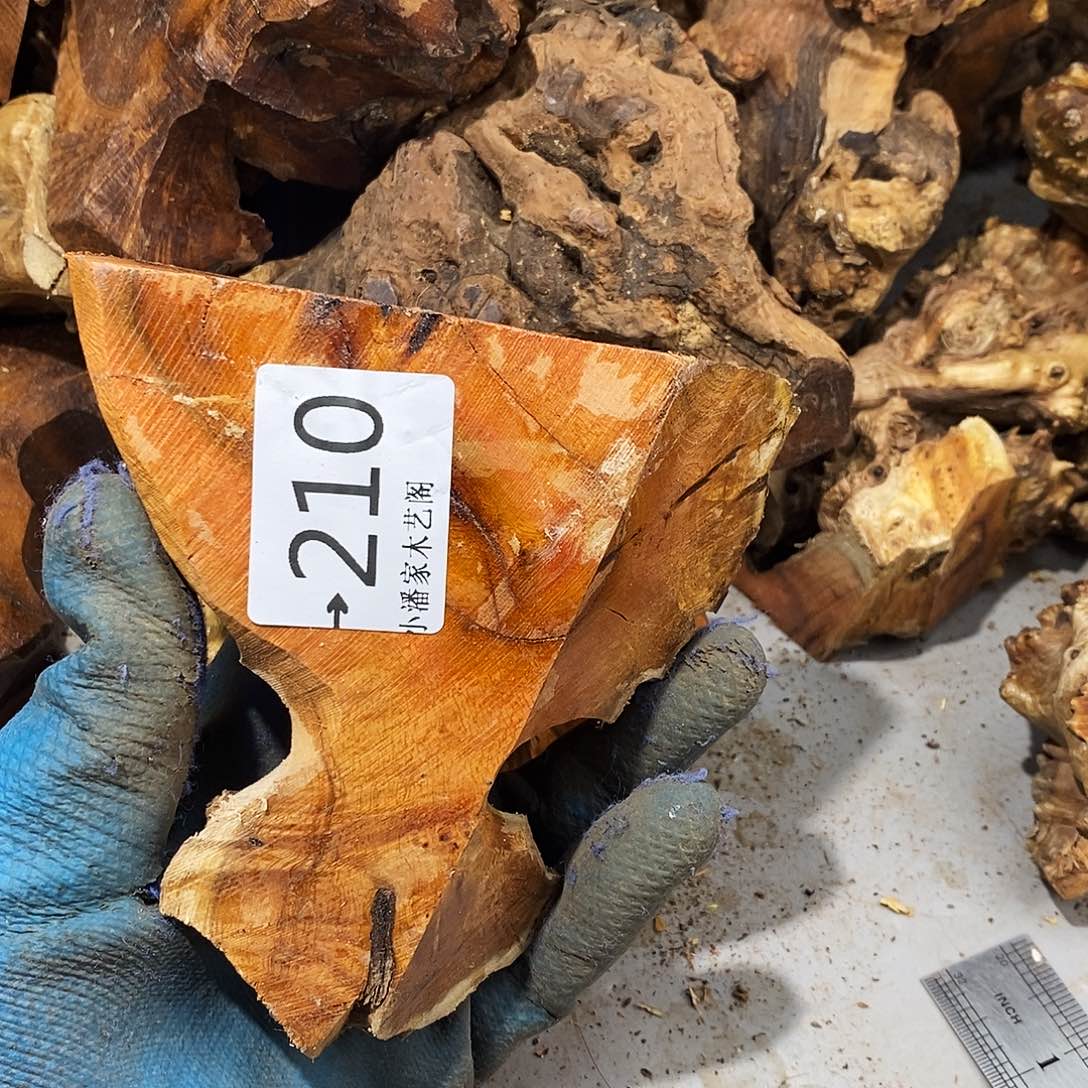 香榧木火琉璃……有裂