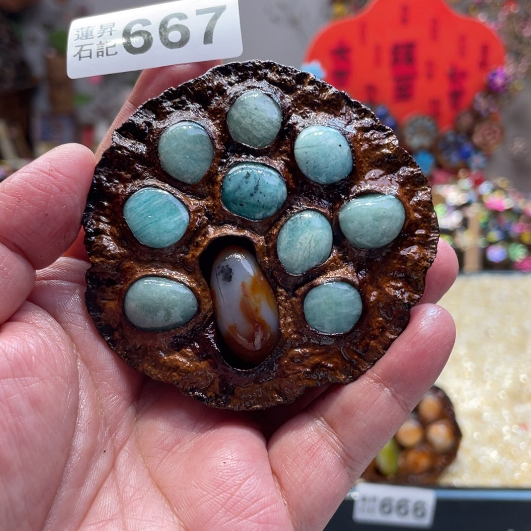 核桃木/黑胡桃（胡桃木）667凛冬