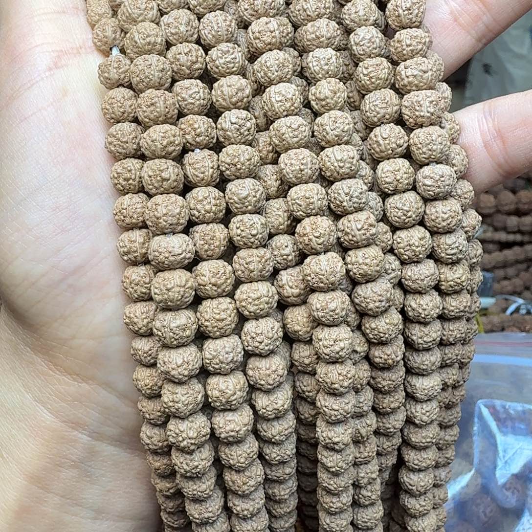 金刚菩提吊坠小肥龙1条 保全品手持