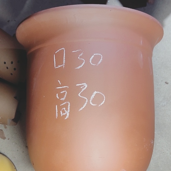 红陶紫砂紫砂紫砂