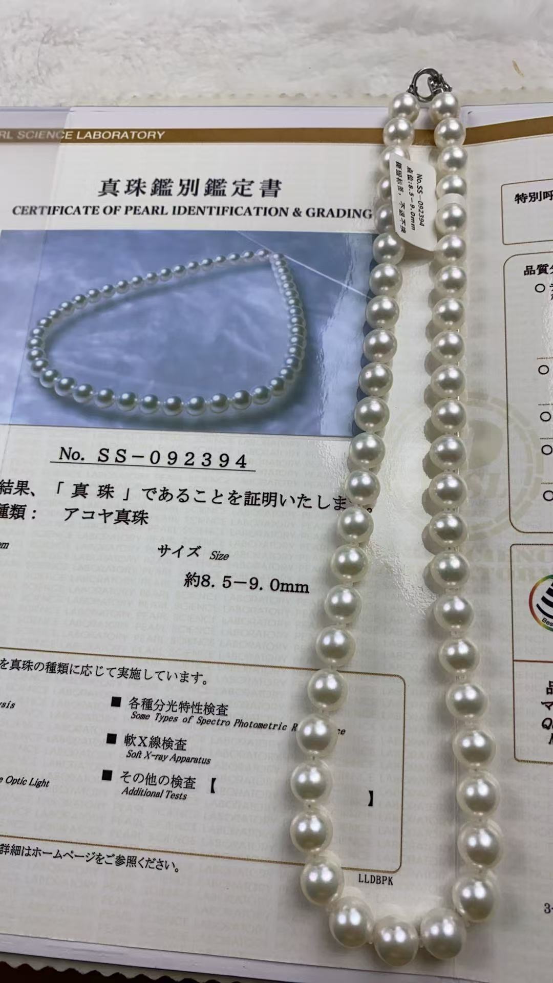 海水珍珠akoya项链,8-9mm,18k,ss真科研大证
