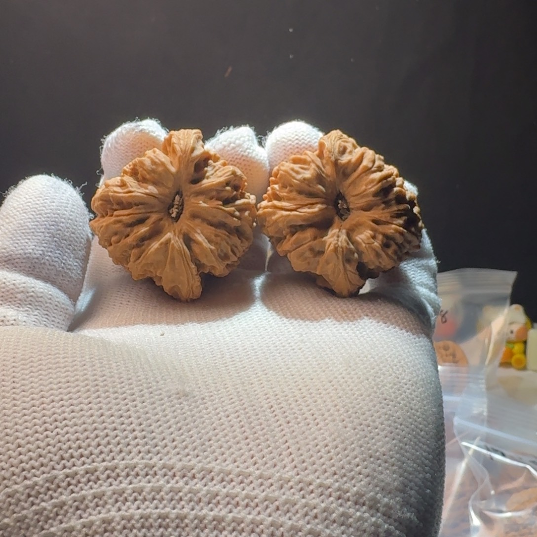 把件文玩核桃20号链接拉丝窝头大凹40-38-38