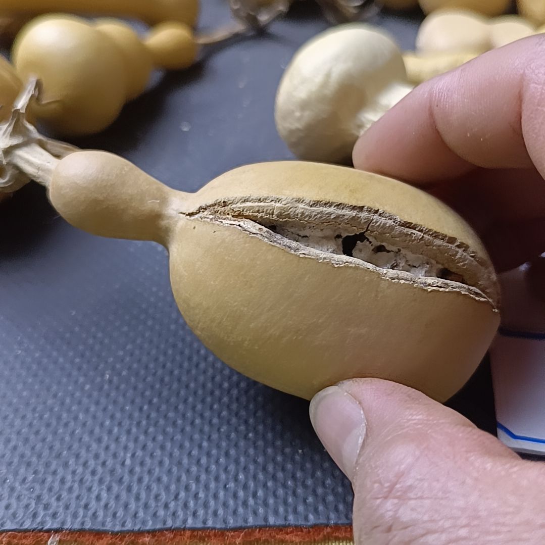 观**涛天裂葫芦厚皮葫芦