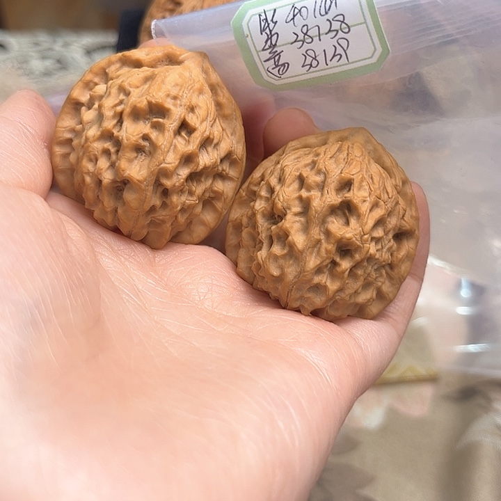 文玩核桃把件非嫁接元宝