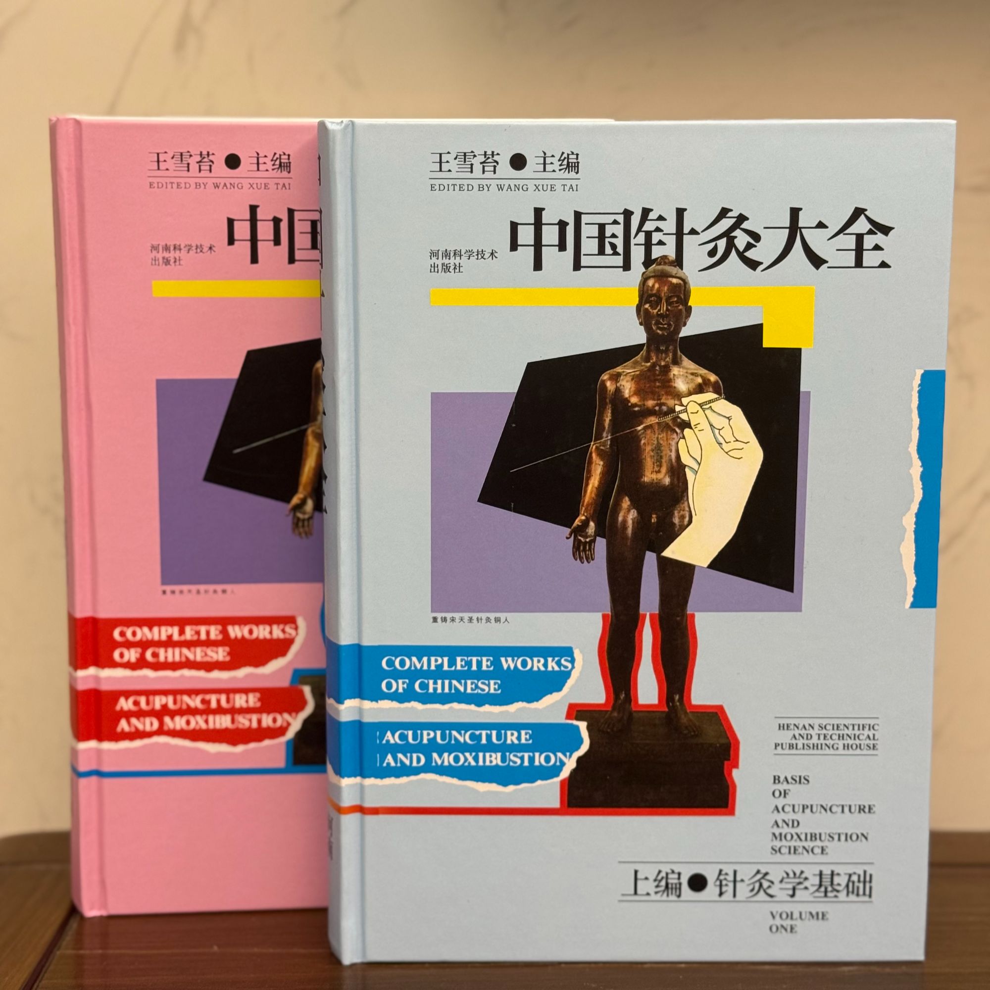 精装2本 中国针灸大全上篇针灸学基础 下篇针灸学文萃 大开本