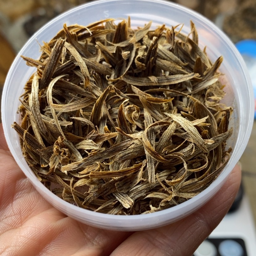 【闪购商品】沉香沉香碎屑彩***熠惠安九分勾丝5克