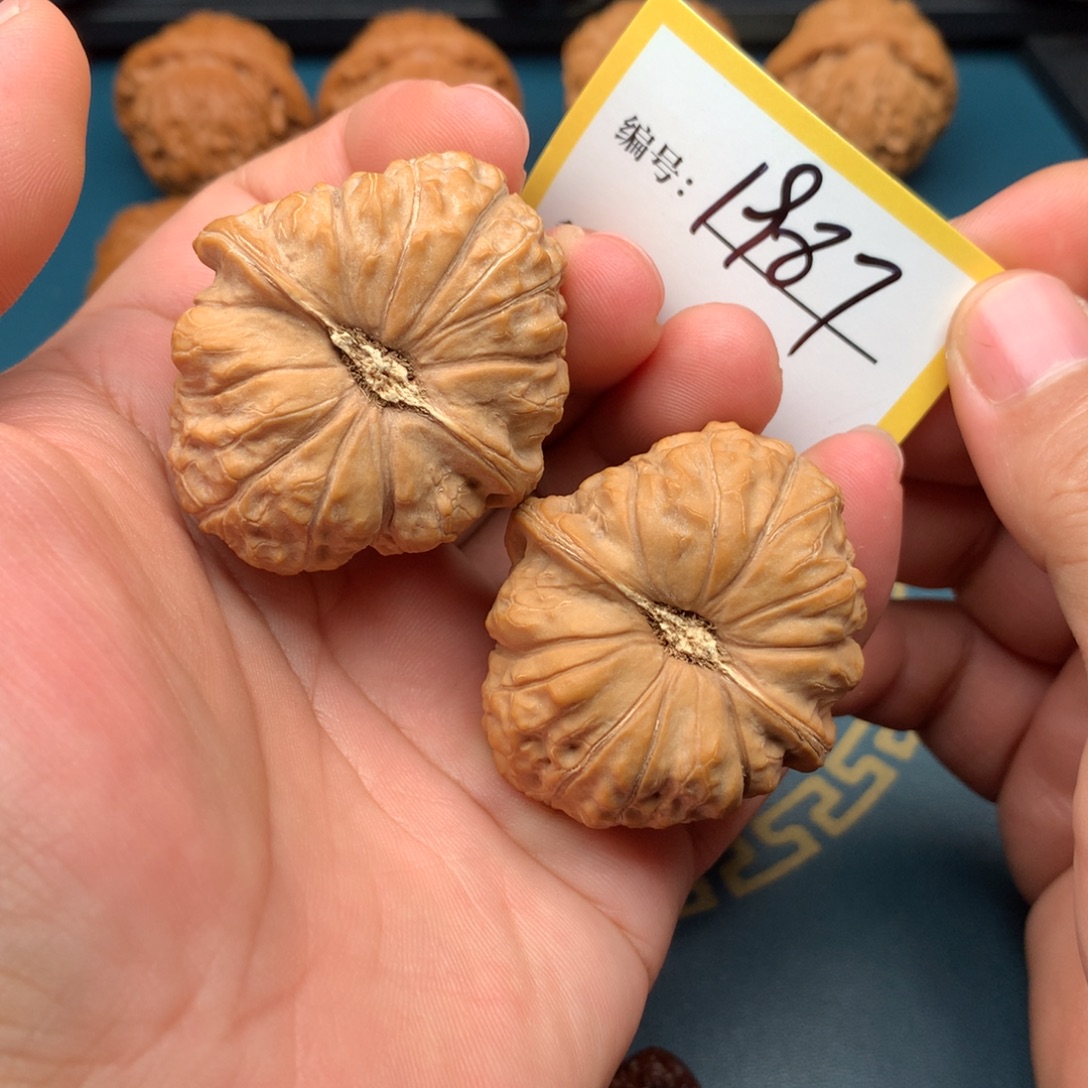 文玩核桃把件42南瓜墩1987