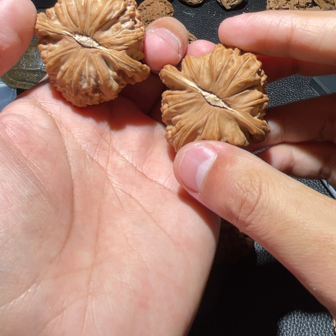 白***大吊坠文玩核桃白狮子